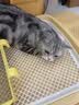 路斯冻干三拼猫粮成猫幼猫粮全价营养冻干猫粮10kg多猫家庭首选 实拍图