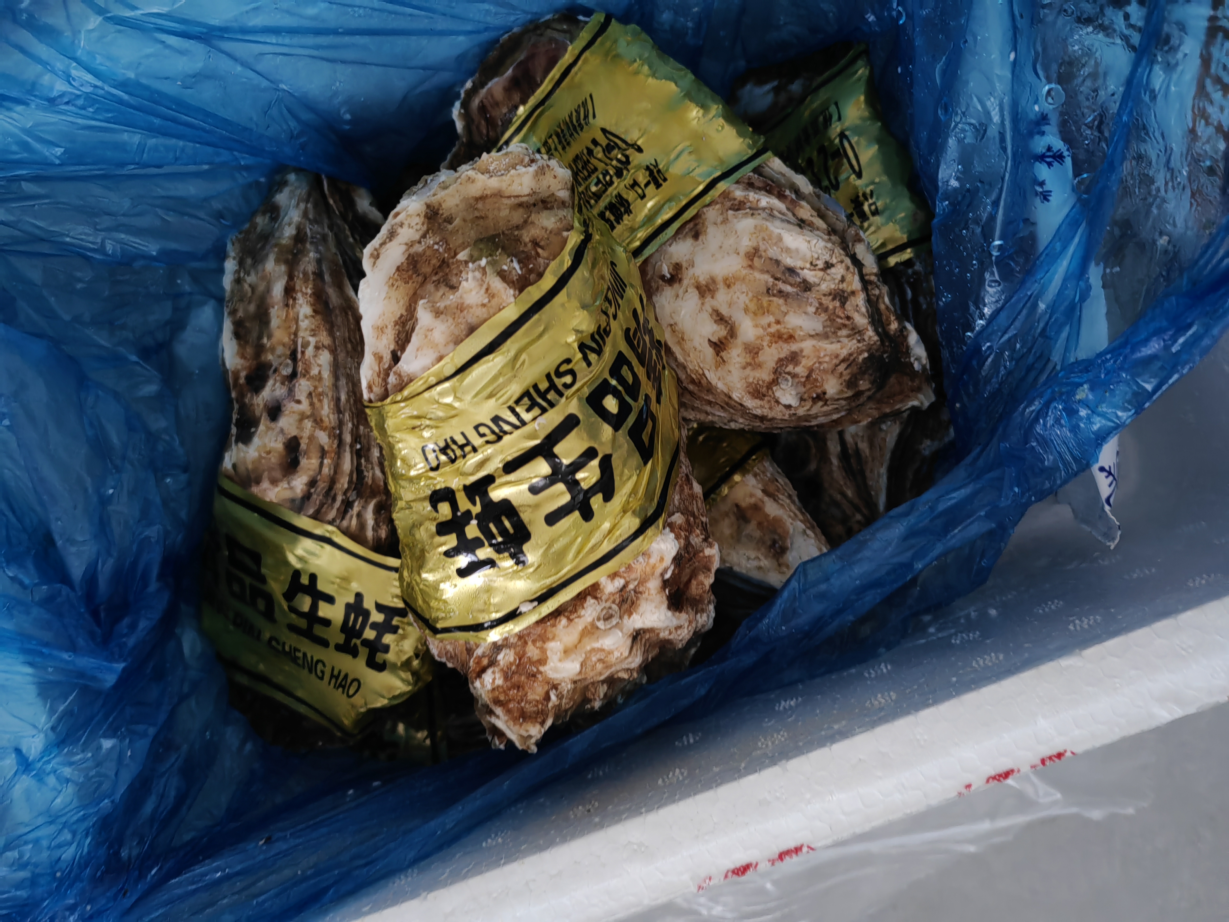 鲜京采鲜活乳山生蚝6XL 净重5斤 6-8只 鲜活到家 源头直发 牡蛎海鲜 实拍图