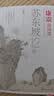 康震诗词课：苏东坡12讲 康震 苏轼 苏东坡 传记 四色彩插 苏轼书画珍品典藏 小32开本易于翻阅携带 实拍图