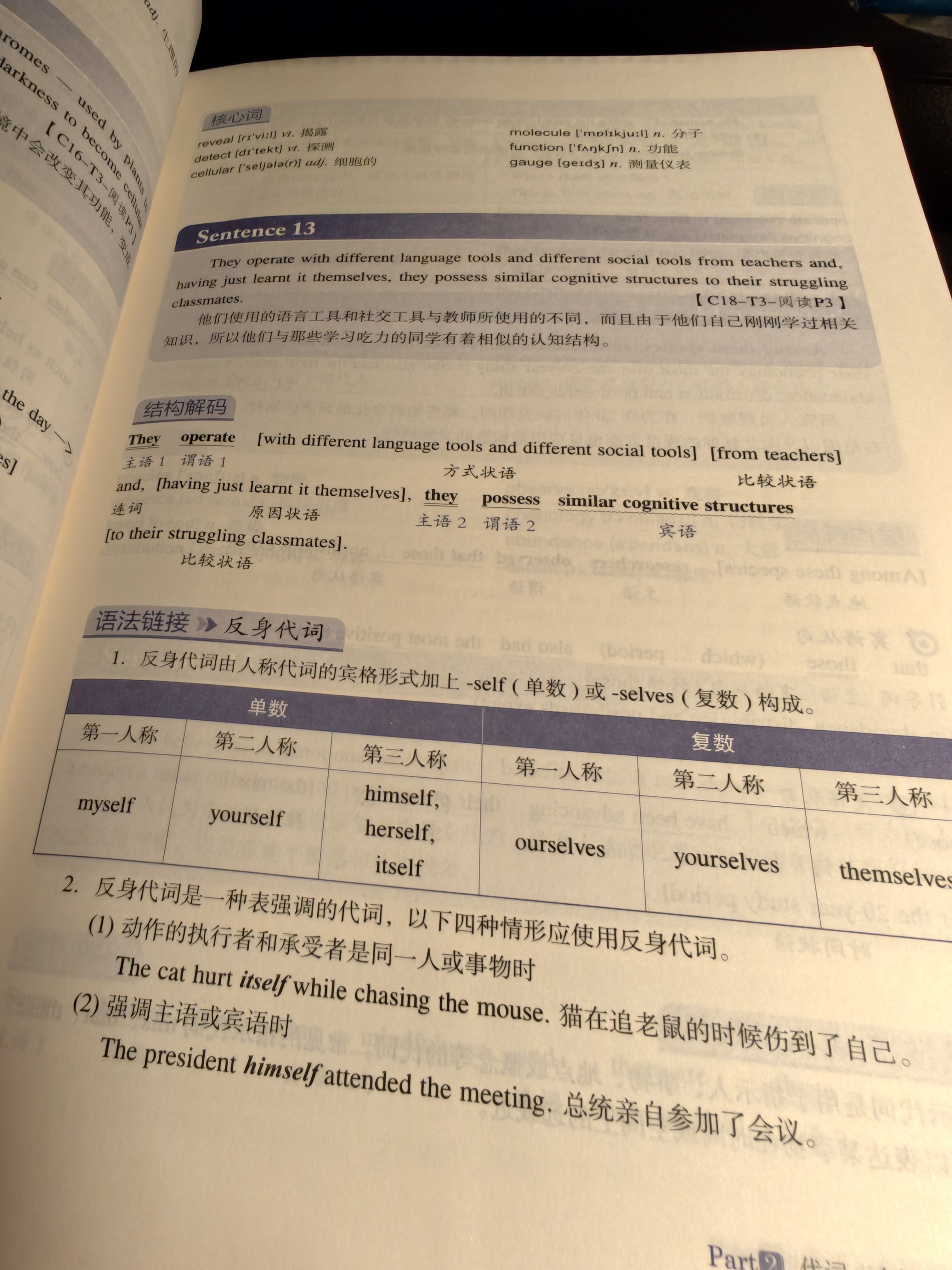 新东方 300个句子攻克雅思语法 IELTS雅思核心语法句子详解突破 实拍图