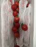 京鲜生x中荔 贵州黄茹香芒皇后小番茄单果7g+净重1.8斤礼盒水果源头直发 实拍图