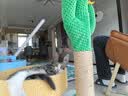 喵仙儿猫爬架一体猫窝多层跳台剑麻猫抓柱猫抓板小型不掉屑仙人掌猫玩具 实拍图