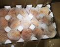 京地达山东蒙阴蜜桃金秋红蜜 净重3斤 单果约150g 桃子应季水果源头直发 实拍图