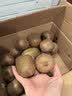 京鲜生 陕西亚特绿心猕猴桃 5斤装 超大果 单果130g+ 新鲜国庆水果 实拍图