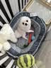 华元宠具（hoopet）狗窝保暖可拆洗中大型犬冬季狗床小狗垫子狗狗睡垫宠物垫四季通用 实拍图