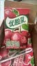 伊利【时代少年团同款】优酸乳车厘子味250ml*24盒 中秋礼品礼盒装 实拍图
