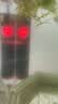 森森鱼缸石英加热棒 适用20-40L 恒温加热器 离水断电 100W 实拍图