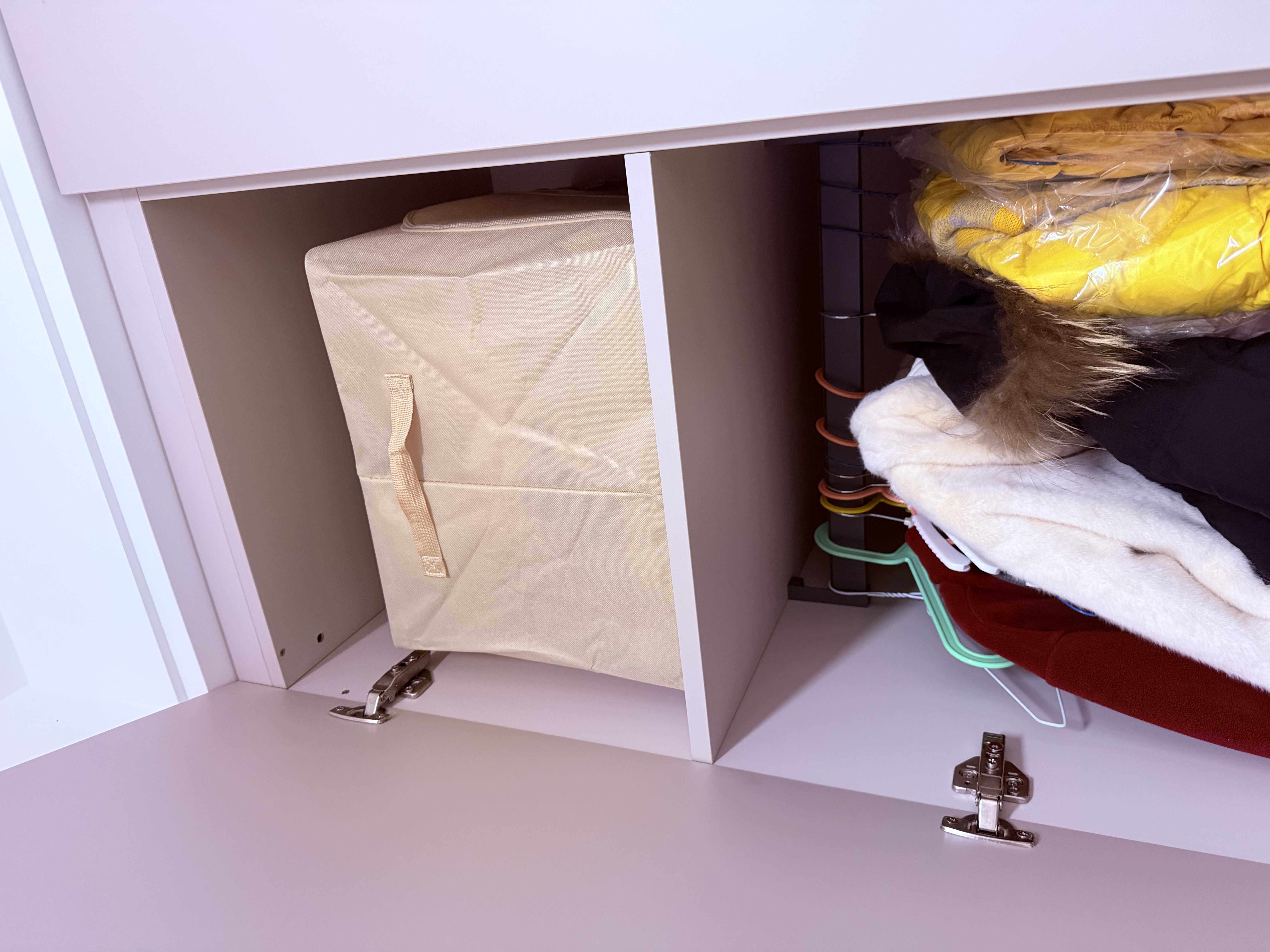 登比布艺收纳箱衣服棉被整理箱玩具衣物储物箱百纳箱 米色66L2只装 实拍图