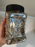 李小谷 有机三色青稞米450g罐装低脂粗粮主食杂粮八宝粥甜品奶茶原料 实拍图