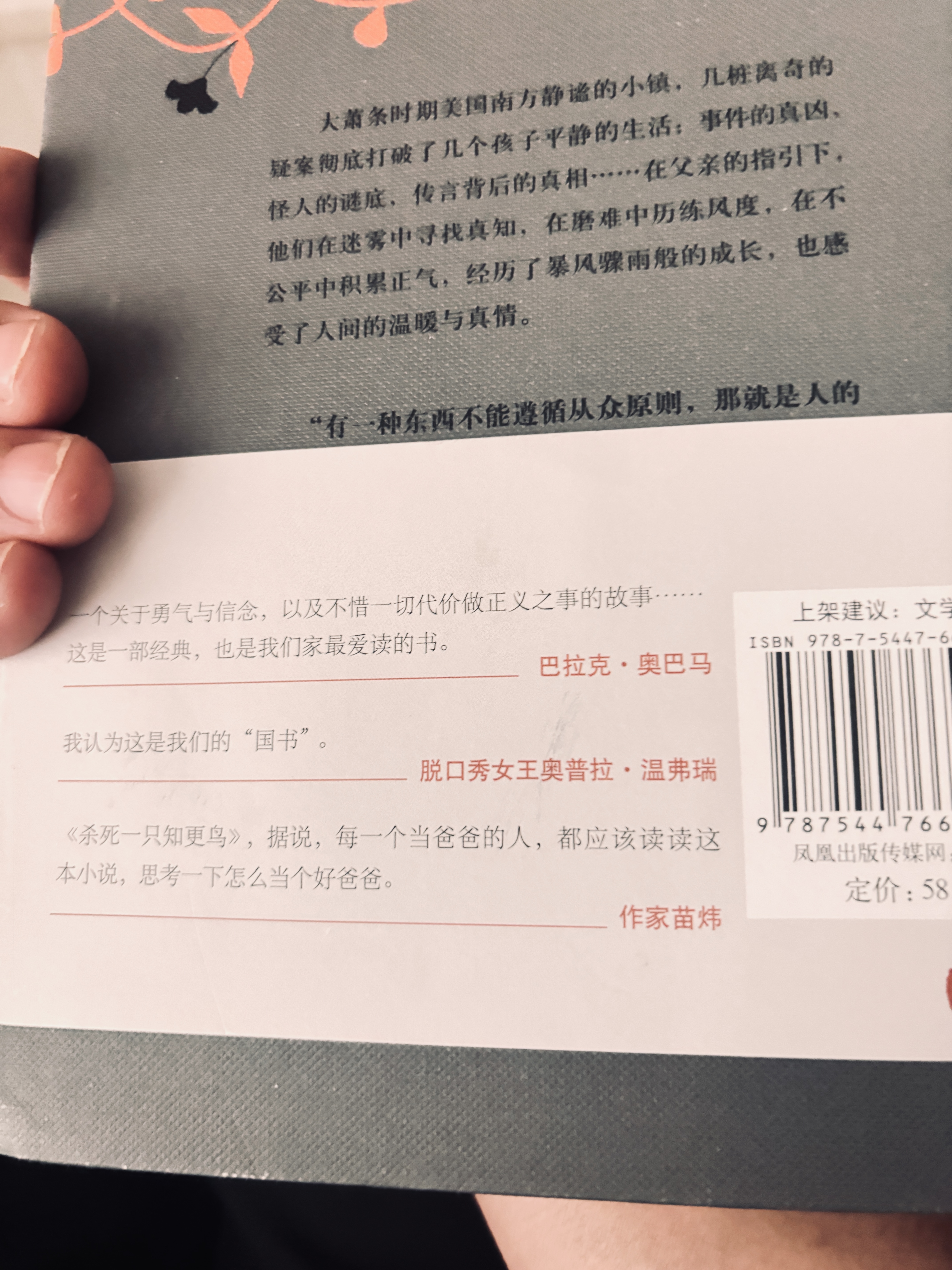 杀死一只知更鸟（新）（豆瓣9.3，关于勇气与正义的成长教科书，影响全球5000万家庭的“教养宝典”，奥巴马、贝克汉姆、奥普拉鼎力推荐） [To Kill a Mockingbird]  实拍图
