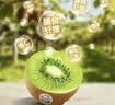 佳沛（zespri）绿奇异果 特大果6粒单果约135-176g源头直发中秋节礼品送水果礼盒 实拍图