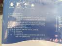 蒙牛【杨紫同款】纯甄青提龙井味风味酸牛奶200g*16盒整箱 春日限定 实拍图