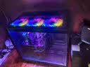 华硕全家桶14代I5 14400F/RTX5060/16G/1T/WiF6/畅玩三角洲游戏电脑主机组装电脑台式电脑整机 实拍图