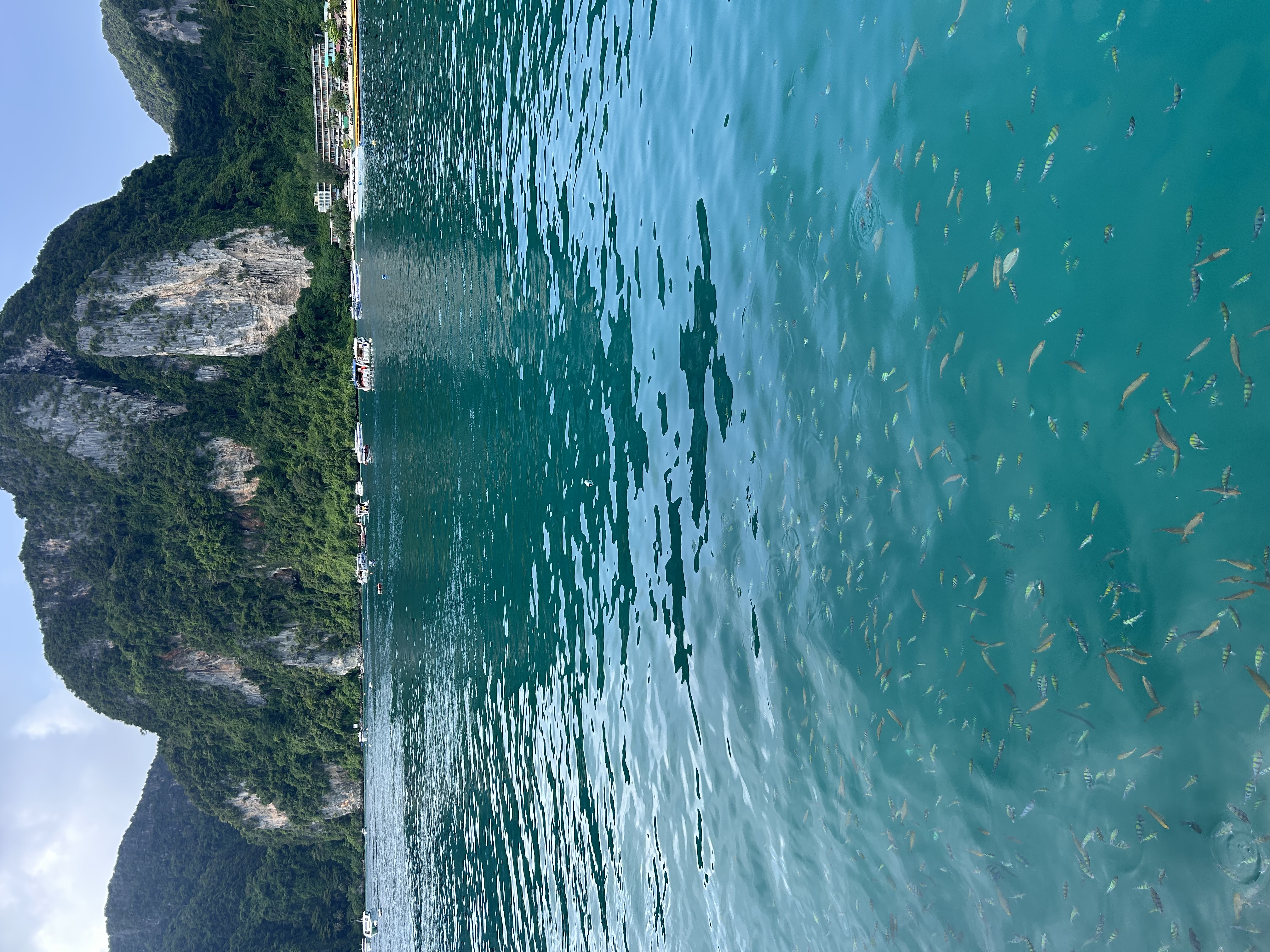棉花糖泰国电话卡happy卡无限5G手机流量上网卡 10天无限流量 实拍图