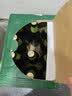 龙山泉啤酒绿棒子535ml*12瓶整箱装 辽宁本溪特产 实拍图
