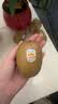 佳沛（zespri）新西兰金奇异果10粒巨大果146-175g猕猴桃水果礼盒 实拍图