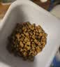 皇家猫粮 幼猫奶糕 幼猫猫粮 BK34 通用粮 1-4月 2KG 实拍图