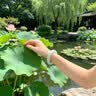 琦世魅天然a货晴水冰种翡翠手镯正品玉手镯女款2026新款缅甸玉镯子送礼 57mm圈口 实拍图