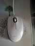 罗技（Logitech）M100r 鼠标 有线鼠标 办公鼠标 对称鼠标 大手鼠标 白色 实拍图