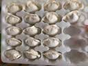 吴大嫂 东北水饺 皮皮虾馅 800g 40只 海鲜饺子 速食早点 虾爬子 实拍图