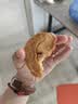 杏花楼海盐蝴蝶酥礼盒120克 上海特产企业伴手送礼 团购茶点茶歇 实拍图