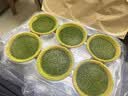 鲜京采超浓抹茶挞生巧黄油燕麦挞 360g 6枚装 实拍图