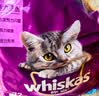 伟嘉成猫猫粮3.6kg海洋鱼味布偶夹心粮【原料透明】 实拍图