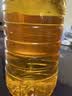 福临门金阙谣 非转基因压榨一级玉米油6.18L 食用油新老包装随机发 实拍图