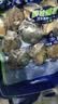 江船长冷冻鲍鱼 净重160g(10-15粒)袋装 火锅食材 海鲜生鲜 实拍图