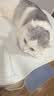皇家猫粮 挑嘴成猫猫粮 高适口性 EF38 通用粮 12月以上 10KG 实拍图