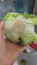 【烧烤季】去根金针菇400g 实拍图