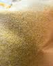 十月稻田 玉米糁 2斤 苞米碴 玉米渣玉米粥 熬粥 杂粮 低脂粗粮 大米伴侣 实拍图