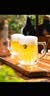 B BAKES BREWING CO贝克斯加勒特议员啤酒 473mL 三倍浑浊 IPA 9/03产 实拍图