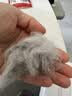 欢宠网猫梳子猫毛梳猫咪梳毛器去浮毛底绒打薄刮毛神器狗毛狗狗宠物专用 实拍图