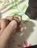 Member's Mark 有机板栗仁 1kg(10袋) 1kg 实拍图