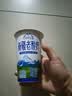 天润新疆网红喀拉峻手工低脂风味奶古法手艺营养早餐代餐日期新鲜300g 【新日期】天润原味手工老酸奶 300g*12杯装【普通快递】 实拍图