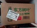 农夫山泉东方树叶茉莉花茶500ml*15瓶无糖茶饮料0糖0脂0卡整箱装 实拍图