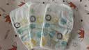 好奇（Huggies）小森林纸尿裤M50片(6-11kg)尿不湿心钻【纯净0添加】 实拍图