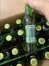 青岛啤酒（TsingTao）经典啤酒 316ml*24瓶 整箱装 国庆出游 实拍图