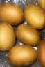佳沛（zespri）新西兰金奇异果猕猴桃 5粒装 单果约88-103g 水果源头直发 实拍图