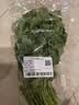 带根香菜100g 实拍图