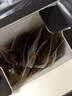 三只松鼠卤汁肉脯500g辣卤味箱装休闲零食高蛋白肉片解馋团购送礼 实拍图