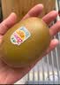 佳沛（zespri）新西兰金奇异果12粒特大果124-146g猕猴桃水果礼盒 实拍图