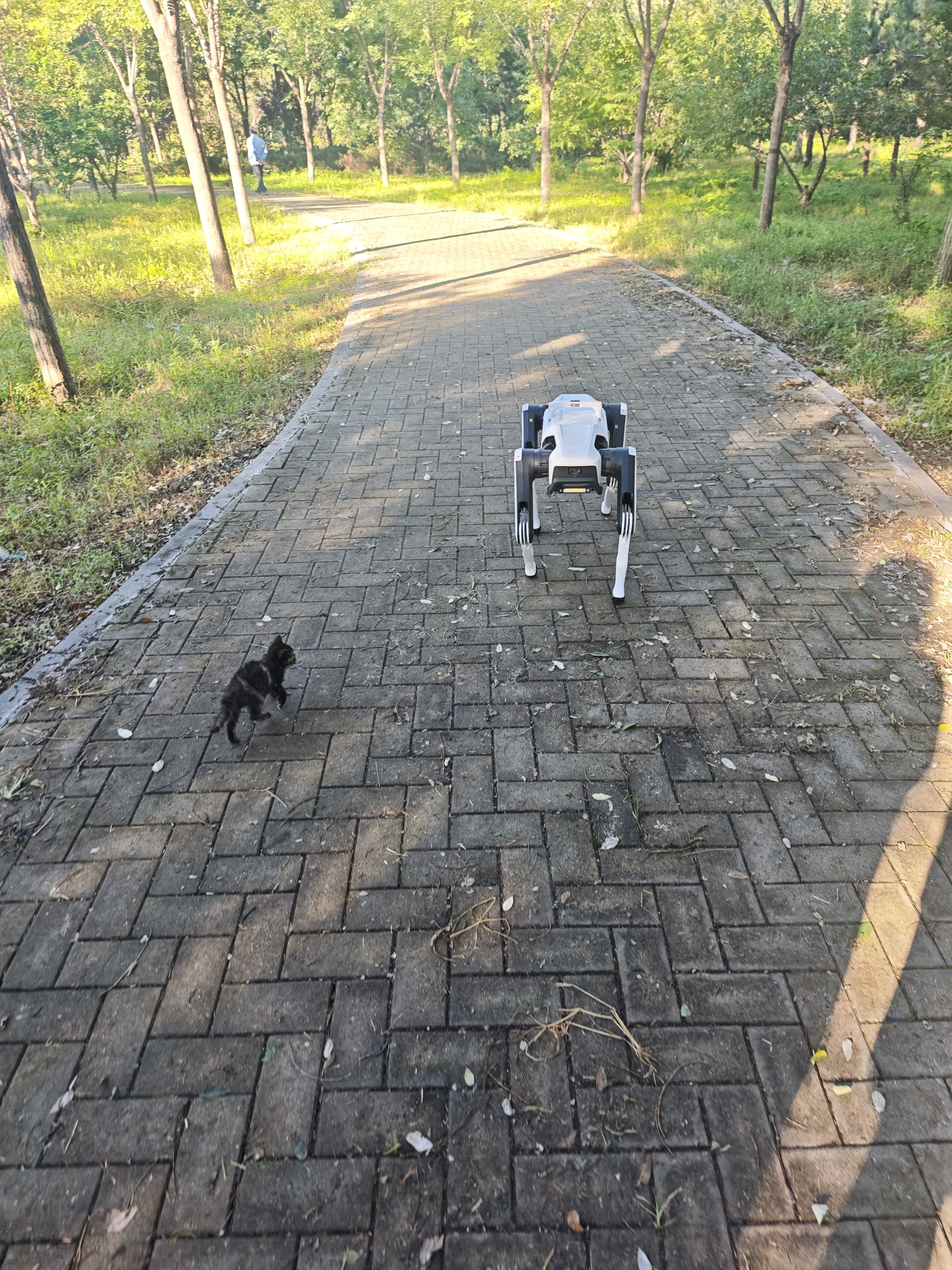 DOBOT越疆Rover X1-W Pro点足&轮足套装机器狗2026新款 AI语音对自主跟随舞蹈表演具身智能四足机器人 晒单实拍图