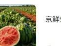 京鲜生 无籽麒麟西瓜 1粒装 净重5-7斤 生鲜水果 实拍图