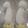 雪貂留香狗狗沐浴露宠物猫咪香波泰迪比熊清洁驱虫除虫止痒浴液 抑菌驱螨 实拍图
