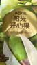 百草味开心果盐焗味100g 每日坚果干果休闲零食特产新老包装随机发 实拍图