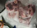 龙大肉食猪棒骨块2斤 ≥30%带肉率 免切猪筒骨猪肉 出口日本级大骨头烧烤 实拍图