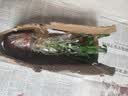 绿有意步步高观音竹富贵荷花竹水养土培盆栽室内桌摆植物吸甲醛水培植物 荷花竹5支【早安盆】 含盆 实拍图