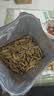 洽洽毛嗑多味瓜子500g恰恰打手瓜子葵花籽大颗粒休闲零食坚果炒货大包 实拍图